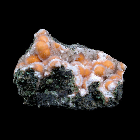 Orange Thomsonite with Mesolite in Perky Box – Rare Indian Zeolite Mineral Specimen from Madhya Pradesh,India # B 7134 Thomsonite Superb Minerals 