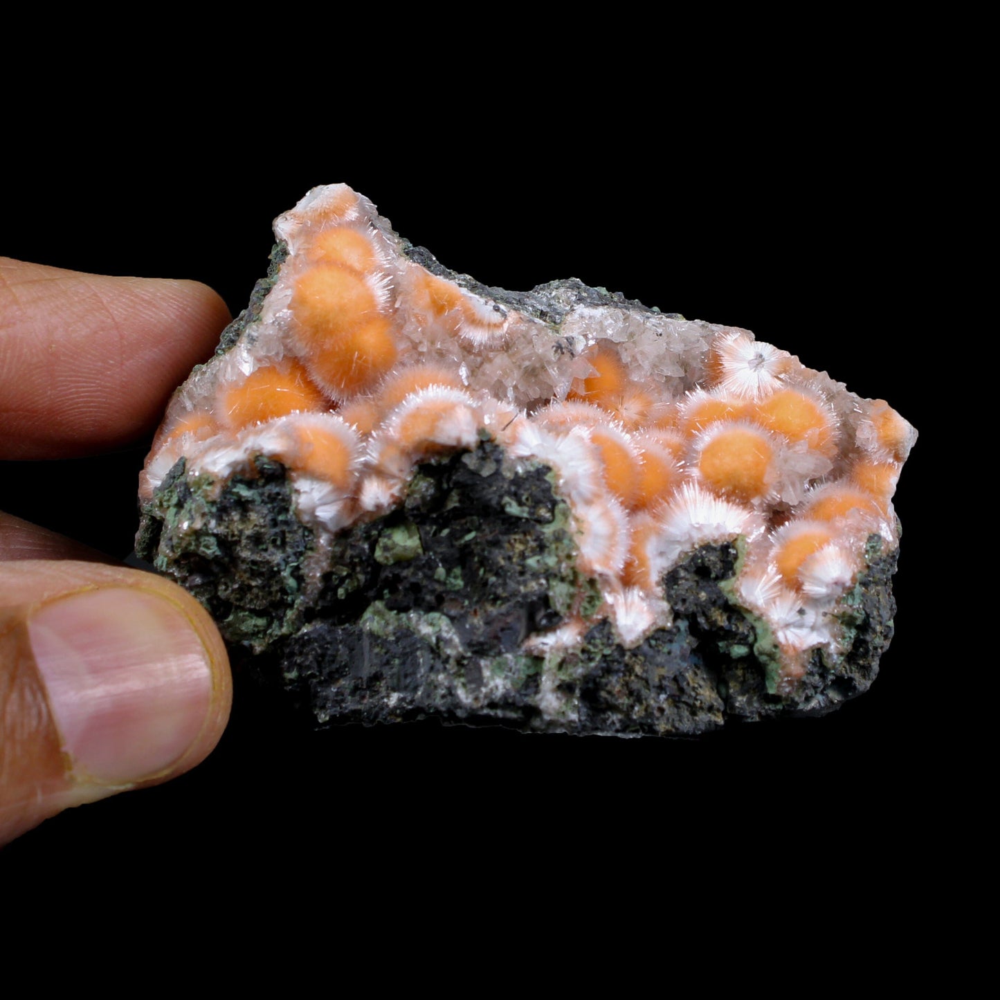 Orange Thomsonite with Mesolite in Perky Box – Rare Indian Zeolite Mineral Specimen from Madhya Pradesh,India # B 7134 Thomsonite Superb Minerals 