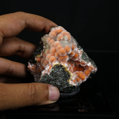Orange Thomsonite with Mesolite Natural Mineral Specimen from Madhya Pradesh # B 7238 Thomsonite Superb Minerals 