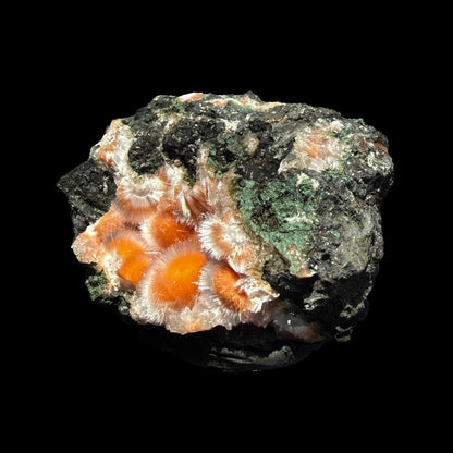 Orange Thomsonite with Mesolite Natural Mineral Specimen from Madhya Pradesh # DKT88 Thomsonite Superb Minerals 