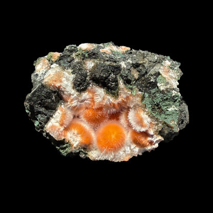 Orange Thomsonite with Mesolite Natural Mineral Specimen from Madhya Pradesh # DKT88 Thomsonite Superb Minerals 