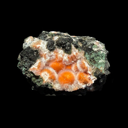 Orange Thomsonite with Mesolite Natural Mineral Specimen from Madhya Pradesh # DKT88 Thomsonite Superb Minerals 