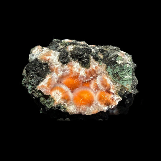 Orange Thomsonite with Mesolite Natural Mineral Specimen from Madhya Pradesh # DKT88 Thomsonite Superb Minerals 