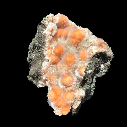Orange Thomsonite with Mesolite Natural Mineral Specimen from Madhya Pradesh # DKT90 Thomsonite Superb Minerals 