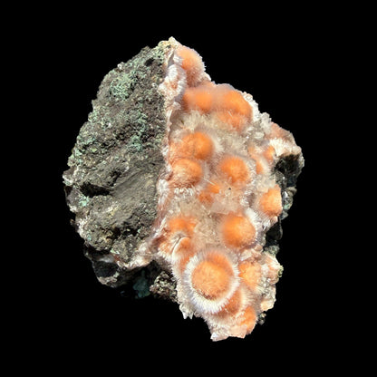 Orange Thomsonite with Mesolite Natural Mineral Specimen from Madhya Pradesh # DKT90 Thomsonite Superb Minerals 