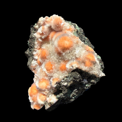 Orange Thomsonite with Mesolite Natural Mineral Specimen from Madhya Pradesh # DKT90 Thomsonite Superb Minerals 