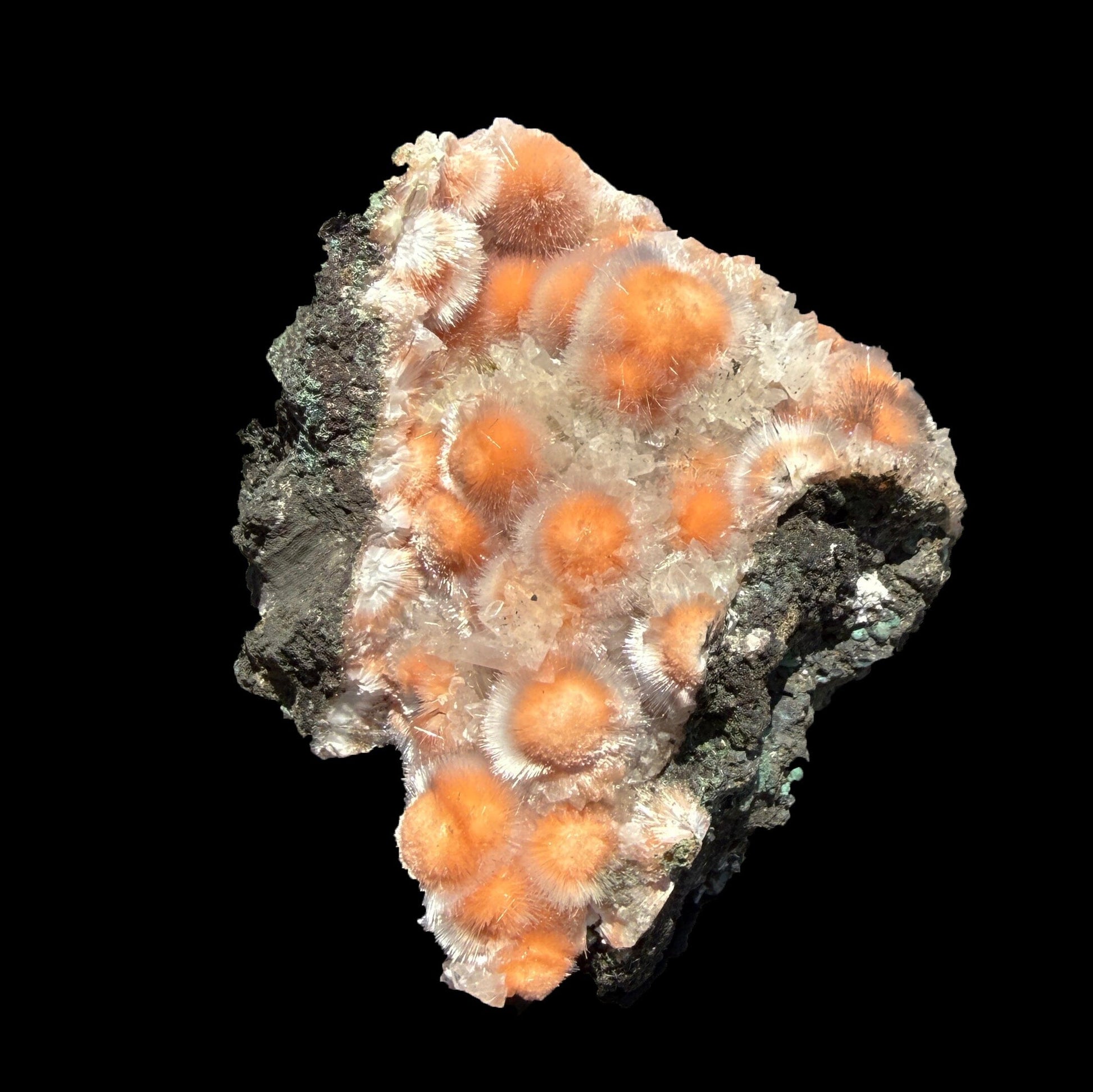 Orange Thomsonite with Mesolite Natural Mineral Specimen from Madhya Pradesh # DKT90 Thomsonite Superb Minerals 