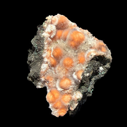 Orange Thomsonite with Mesolite Natural Mineral Specimen from Madhya Pradesh # DKT90 Thomsonite Superb Minerals 