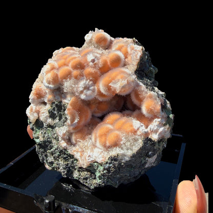 Orange Thomsonite with Mesolite Natural Mineral Specimen from Madhya Pradesh # DKT94 Thomsonite Superb Minerals 