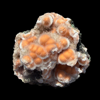 Orange Thomsonite with Mesolite Natural Mineral Specimen from Madhya Pradesh # DKT94 Thomsonite Superb Minerals 