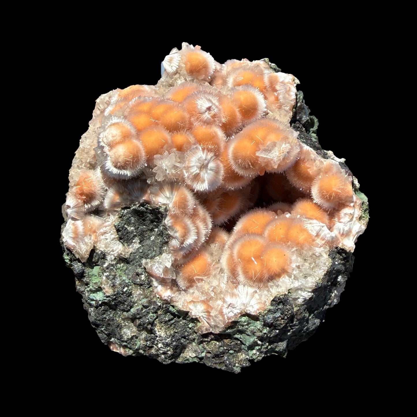 Orange Thomsonite with Mesolite Natural Mineral Specimen from Madhya Pradesh # DKT94 Thomsonite Superb Minerals 
