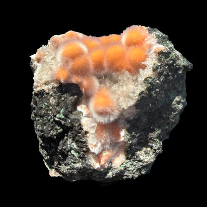 Orange Thomsonite with Mesolite Natural Mineral Specimen from Madhya Pradesh # DKT99 Thomsonite Superb Minerals 