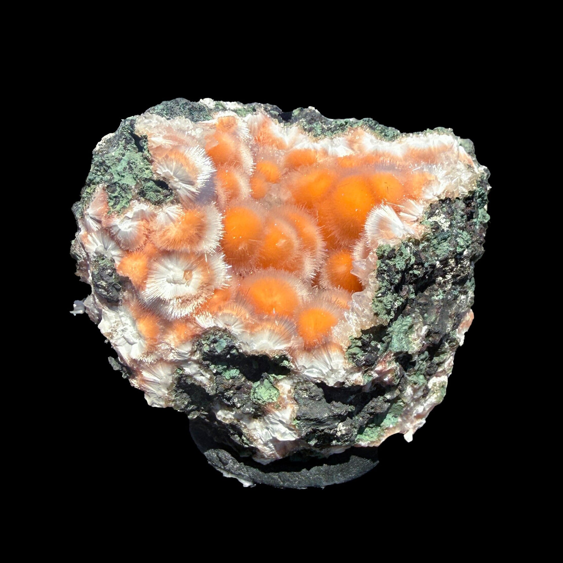 Orange Thomsonite with Mesolite Natural Mineral Specimen from Madhya Pradesh, India DKT84 Thomsonite Superb Minerals 