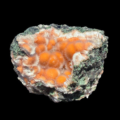 Orange Thomsonite with Mesolite Natural Mineral Specimen from Madhya Pradesh, India DKT84 Thomsonite Superb Minerals 