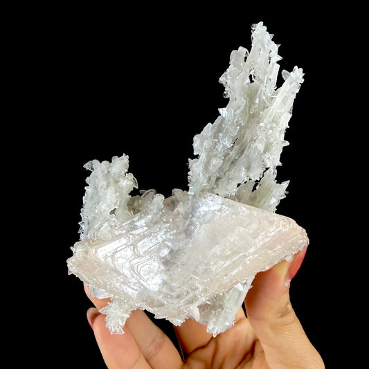 Peach Heulandite on Chalcedony & Stilbite Matrix - Natural Indian Zeolite Mineral from Jalgaon # DKT148 Heulandite Superb Minerals 