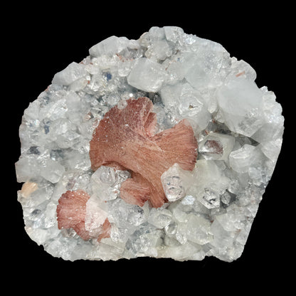 Peach Heulandite on Sparkling Clear Apophyllite Matrix from Jalgaon Maharashtra India | Natural Zeolite Mineral Specimen DKT80 Heulandite Superb Minerals 