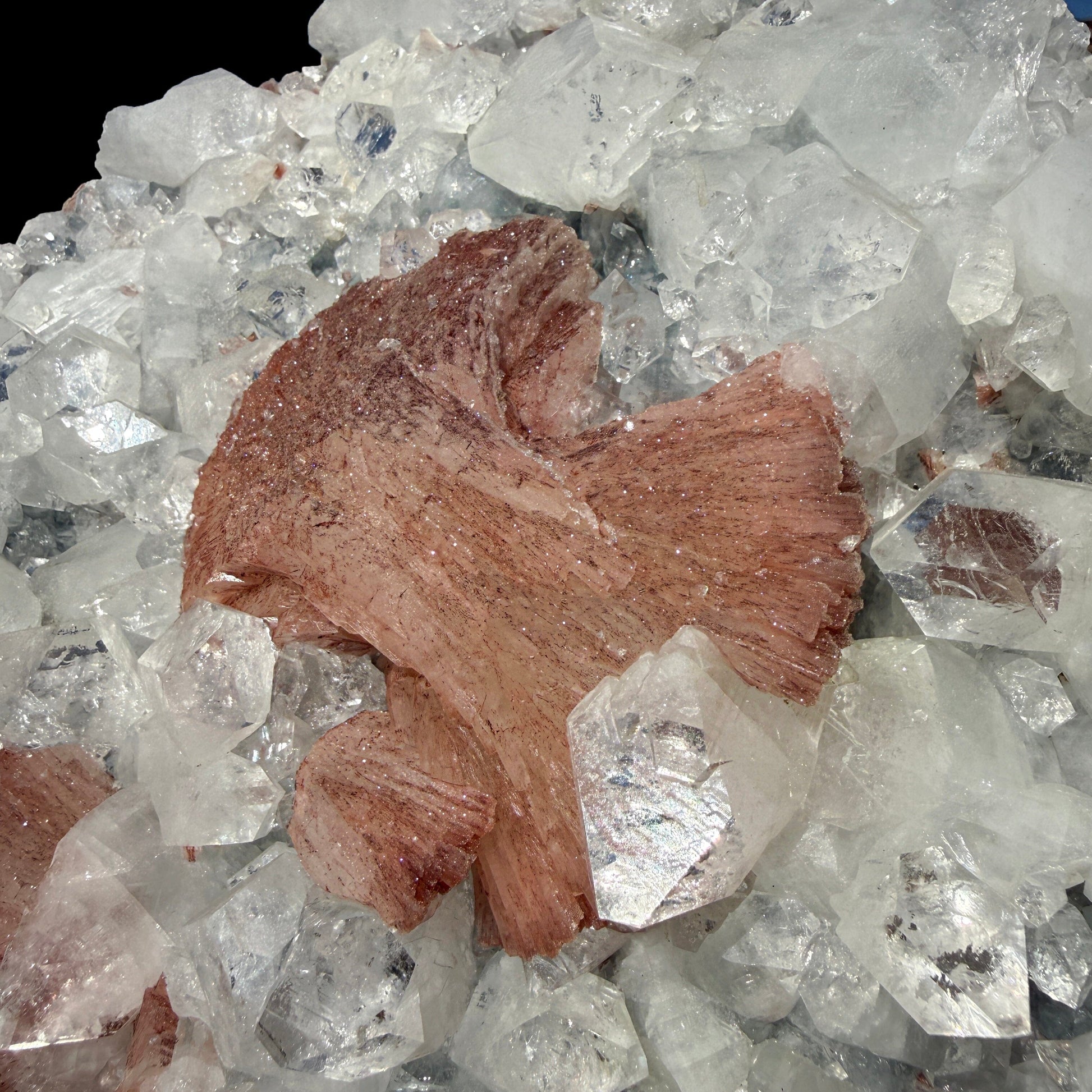 Peach Heulandite on Sparkling Clear Apophyllite Matrix from Jalgaon Maharashtra India | Natural Zeolite Mineral Specimen DKT80 Heulandite Superb Minerals 