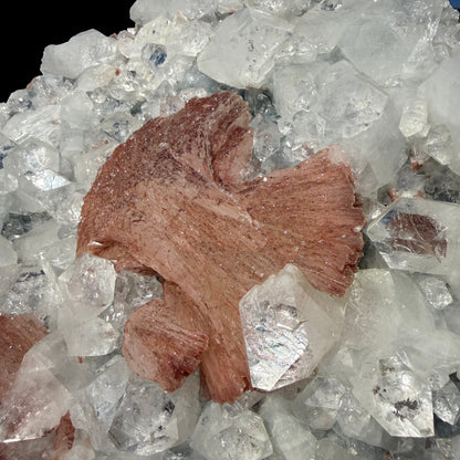 Peach Heulandite on Sparkling Clear Apophyllite Matrix from Jalgaon Maharashtra India | Natural Zeolite Mineral Specimen DKT80 Heulandite Superb Minerals 