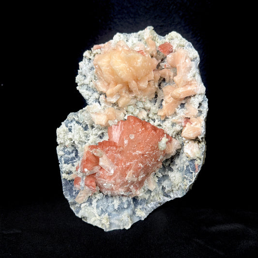 Peach Heulandite with Stilbite and Chalcedony on Matrix - Collector’s Cabinet Specimen from Jalgaon, India # DKT173 Heulandite Superb Minerals 