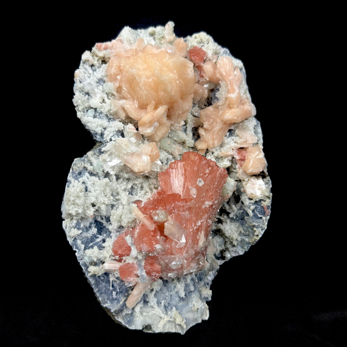 Peach Heulandite with Stilbite and Chalcedony on Matrix - Collector’s Cabinet Specimen from Jalgaon, India # DKT173 Heulandite Superb Minerals 