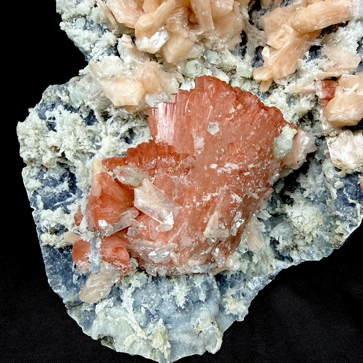 Peach Heulandite with Stilbite and Chalcedony on Matrix - Collector’s Cabinet Specimen from Jalgaon, India # DKT173 Heulandite Superb Minerals 