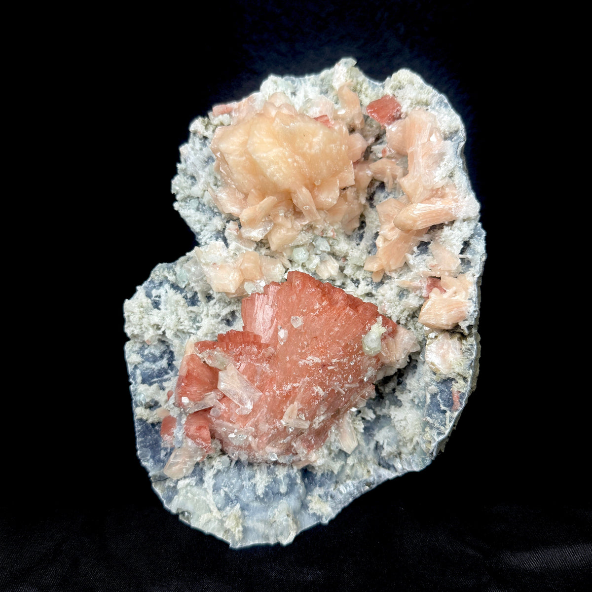 Peach Heulandite with Stilbite and Chalcedony on Matrix - Collector’s Cabinet Specimen from Jalgaon, India # DKT173 Heulandite Superb Minerals 