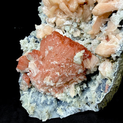 Peach Heulandite with Stilbite and Chalcedony on Matrix - Collector’s Cabinet Specimen from Jalgaon, India # DKT173 Heulandite Superb Minerals 