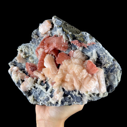 Peach Heulandite with Stilbite and Chalcedony on Matrix - Collector’s Cabinet Specimen from Jalgaon, India # DKT192 Heulandite Superb Minerals 