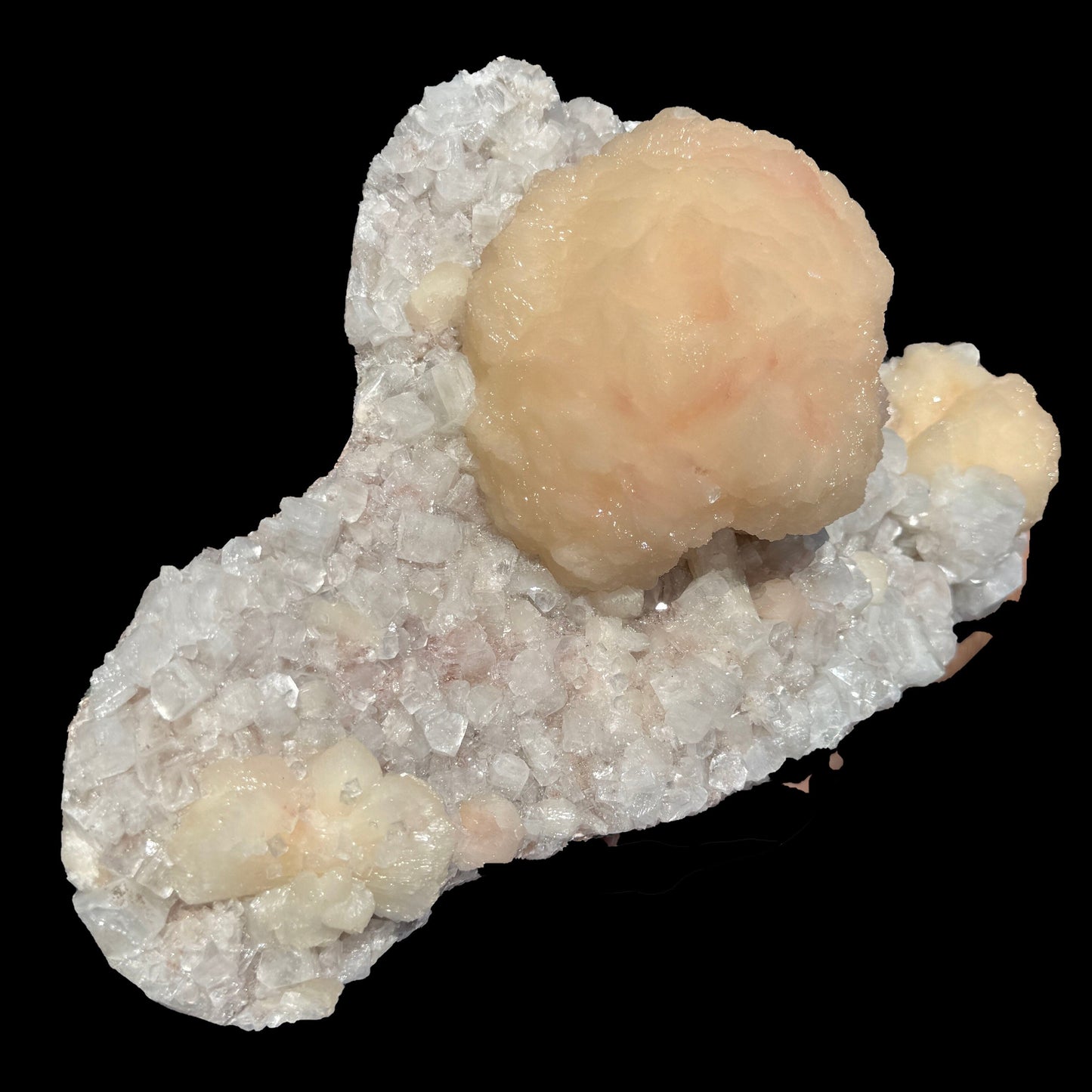 Peach Stilbite Ball Cluster on Blocky Clear Apophyllite Matrix – Rare Indian Zeolite Mineral Specimen from Nashik # DKT129 Stilbite Superb Minerals 