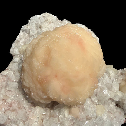 Peach Stilbite Ball Cluster on Blocky Clear Apophyllite Matrix – Rare Indian Zeolite Mineral Specimen from Nashik # DKT129 Stilbite Superb Minerals 