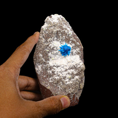 Pentagonite on Mordeite (Rare Find) Natural Mineral Specimen # B 7075 Pentagonite Superb Minerals 