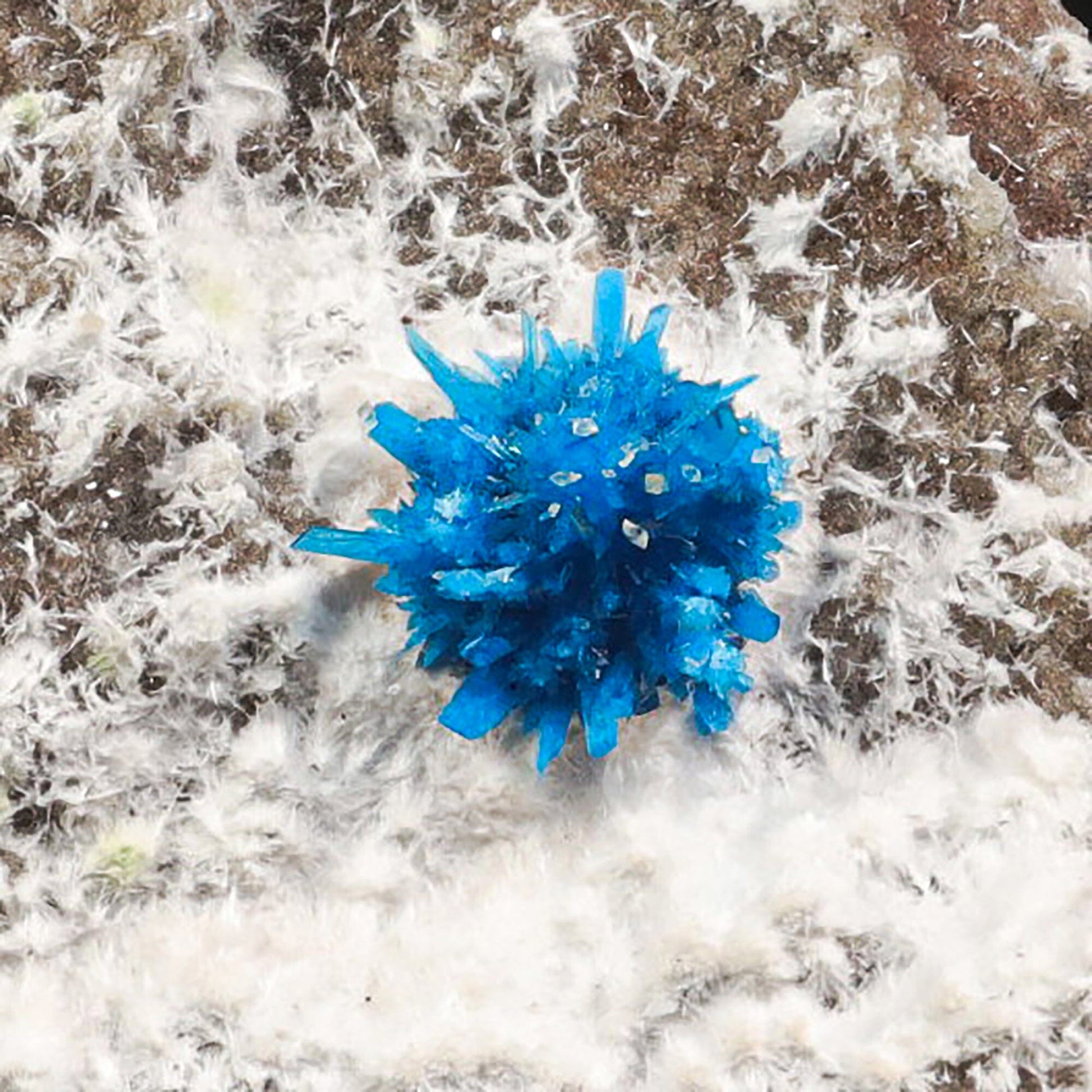 Pentagonite on Mordeite (Rare Find) Natural Mineral Specimen # B 7075 Pentagonite Superb Minerals 