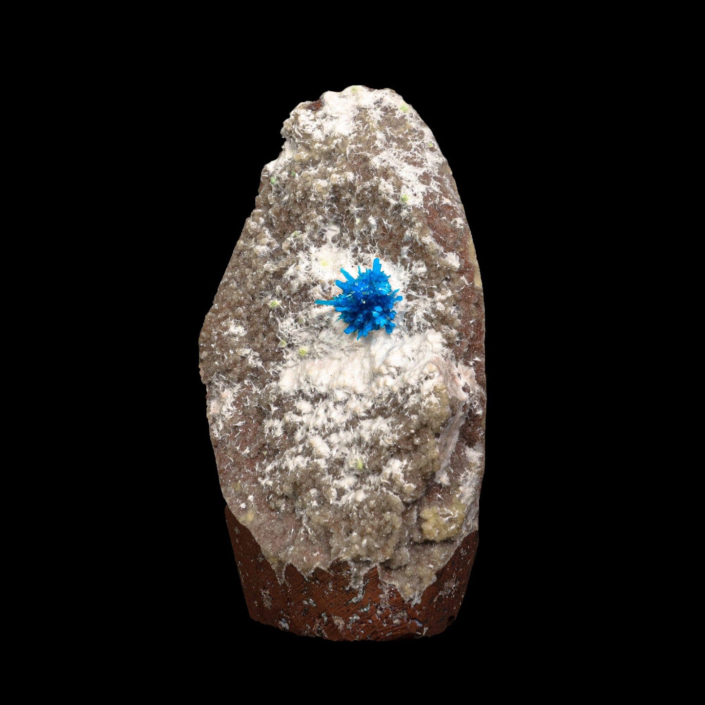 Pentagonite on Mordeite (Rare Find) Natural Mineral Specimen # B 7075 Pentagonite Superb Minerals 