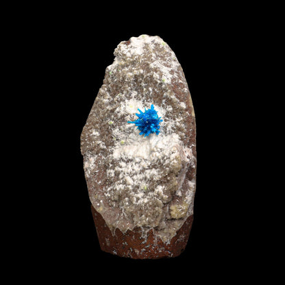 Pentagonite on Mordeite (Rare Find) Natural Mineral Specimen # B 7075 Pentagonite Superb Minerals 