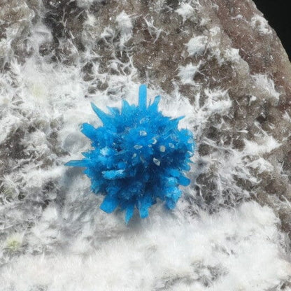 Pentagonite on Mordeite (Rare Find) Natural Mineral Specimen # B 7075 Pentagonite Superb Minerals 