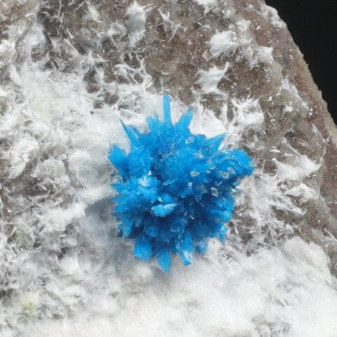 Pentagonite on Mordeite (Rare Find) Natural Mineral Specimen # B 7075 Pentagonite Superb Minerals 