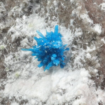 Pentagonite on Mordeite (Rare Find) Natural Mineral Specimen # B 7075 Pentagonite Superb Minerals 