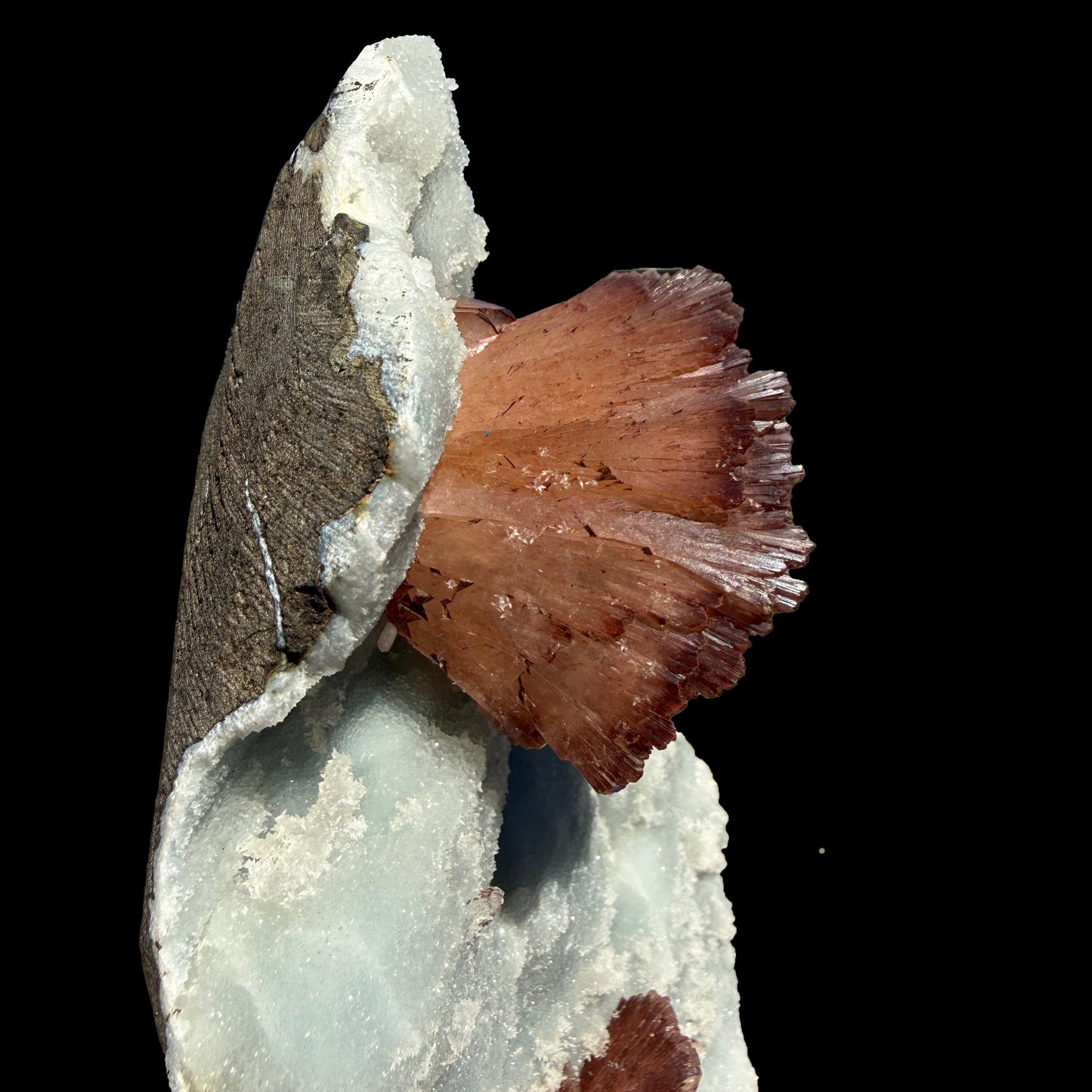 Perfect Heulandite on Blue Chalcedony – Rare Natural Indian Zeolite Mineral Specimen from Maharashtra DKT73 Heulandite Superb Minerals 