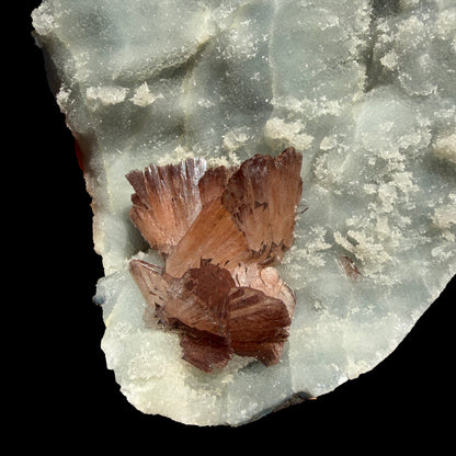 Perfect Heulandite on Blue Chalcedony – Rare Natural Indian Zeolite Mineral Specimen from Maharashtra DKT73 Heulandite Superb Minerals 