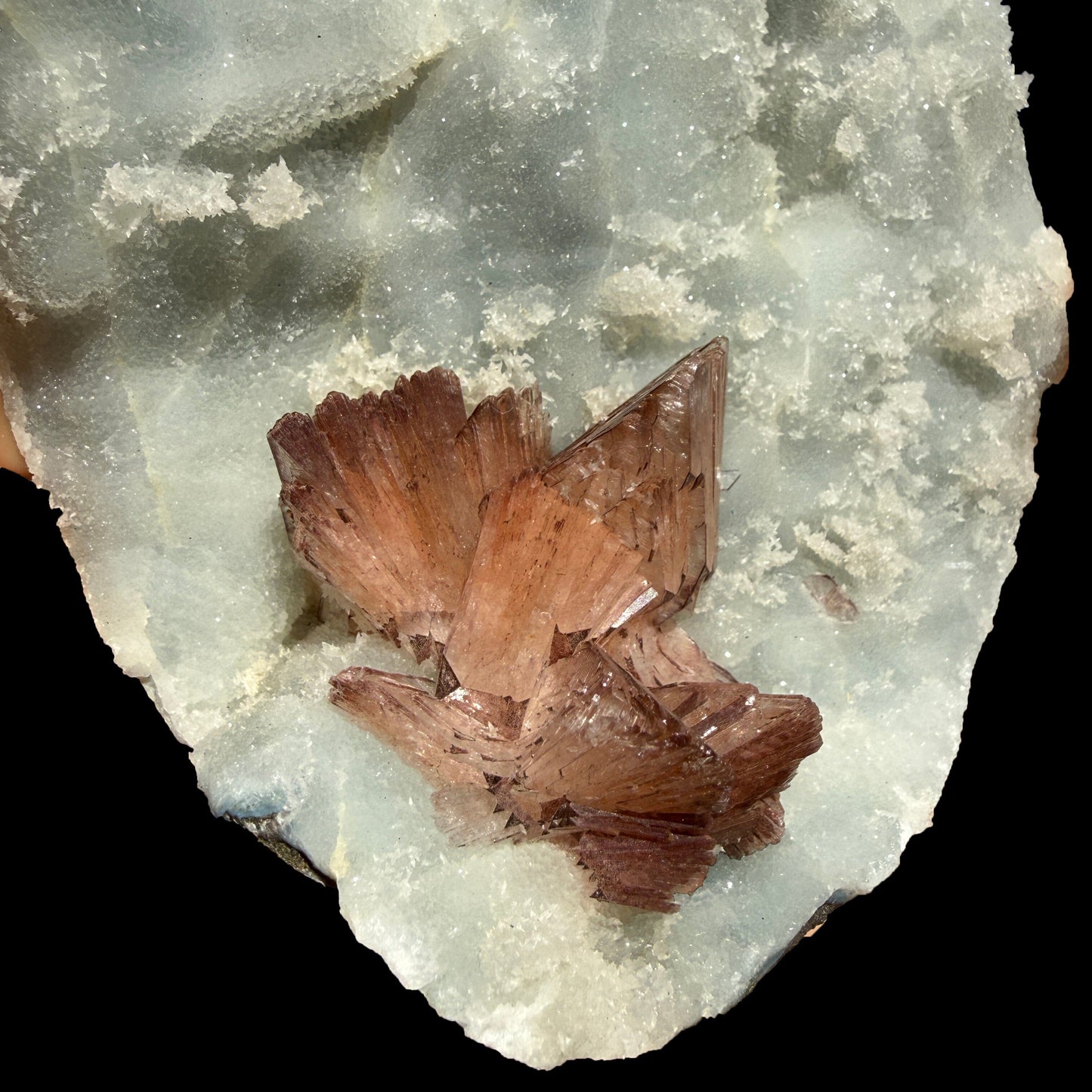 Perfect Heulandite on Blue Chalcedony – Rare Natural Indian Zeolite Mineral Specimen from Maharashtra DKT73 Heulandite Superb Minerals 