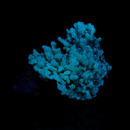 Phosphorescent Calcite on Mordenite with Iron Inclusions – Rare Mineral Specimen from India # B 7092 Calcite Superb Minerals 