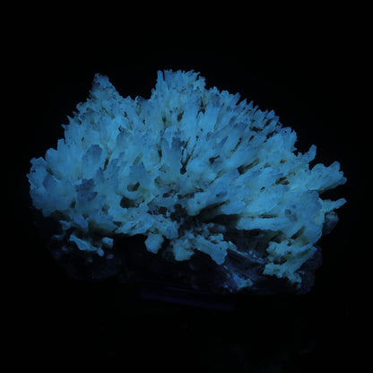 Phosphorescent Calcite on Mordenite with Iron Inclusions – Rare Mineral Specimen from India # B 7112 Calcite Superb Minerals 
