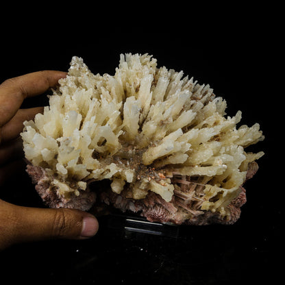 Phosphorescent Calcite on Mordenite with Iron Inclusions – Rare Mineral Specimen from India # B 7112 Calcite Superb Minerals 