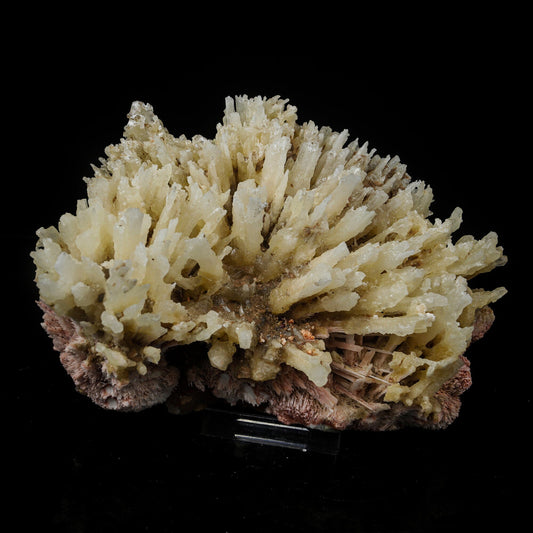 Phosphorescent Calcite on Mordenite with Iron Inclusions – Rare Mineral Specimen from India # B 7112 Calcite Superb Minerals 