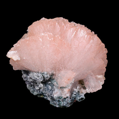 Pink Heulandite Crystal Cluster on Chalcedony – Jalgaon Zeolite Specimen # B 7179 Heulandite Superb Minerals 