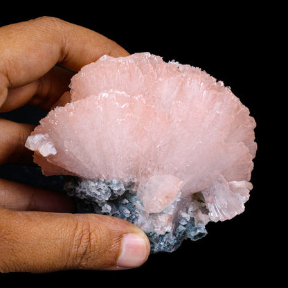 Pink Heulandite Crystal Cluster on Chalcedony – Jalgaon Zeolite Specimen # B 7179 Heulandite Superb Minerals 