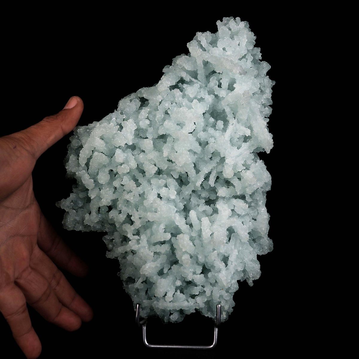 Prehnite Rare Find Natural Mineral Specimen # B 4598  https://www.superbminerals.us/products/prehnite-rare-find-natural-mineral-specimen-b-4598  Features:Precious jackstraw cluster of elongated laumontite crystals that pseudomorphed from mint-green,