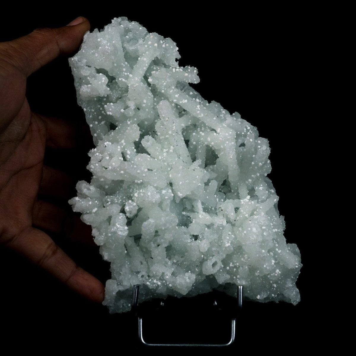 Prehnite Rare Find Natural Mineral Specimen # B 4717  https://www.superbminerals.us/products/prehnite-rare-find-natural-mineral-specimen-b-4717  Features: Pretty mint-green prehnite has pseudomorphed elongated laumontite crystals on this classic and