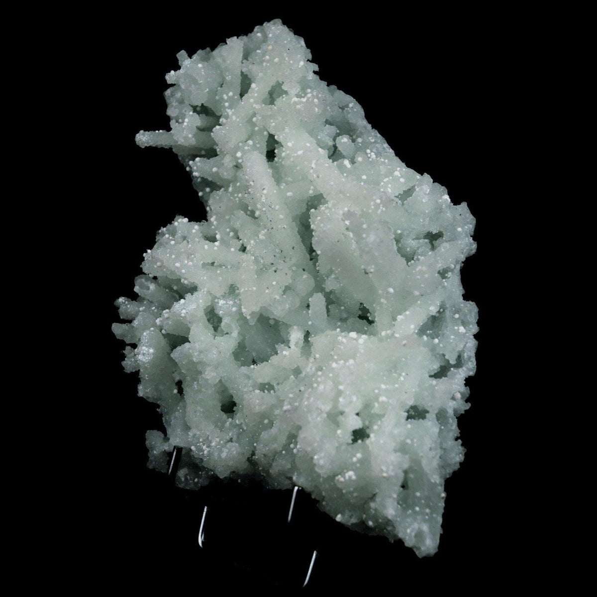 Prehnite Rare Find Natural Mineral Specimen # B 4717  https://www.superbminerals.us/products/prehnite-rare-find-natural-mineral-specimen-b-4717  Features: Pretty mint-green prehnite has pseudomorphed elongated laumontite crystals on this classic and