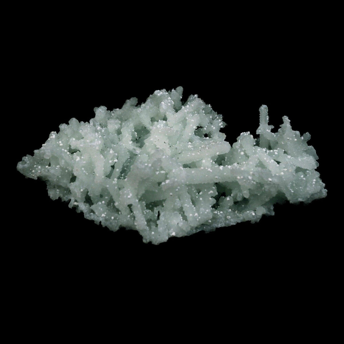 Prehnite Rare Find Natural Mineral Specimen # B 4717  https://www.superbminerals.us/products/prehnite-rare-find-natural-mineral-specimen-b-4717  Features: Pretty mint-green prehnite has pseudomorphed elongated laumontite crystals on this classic and